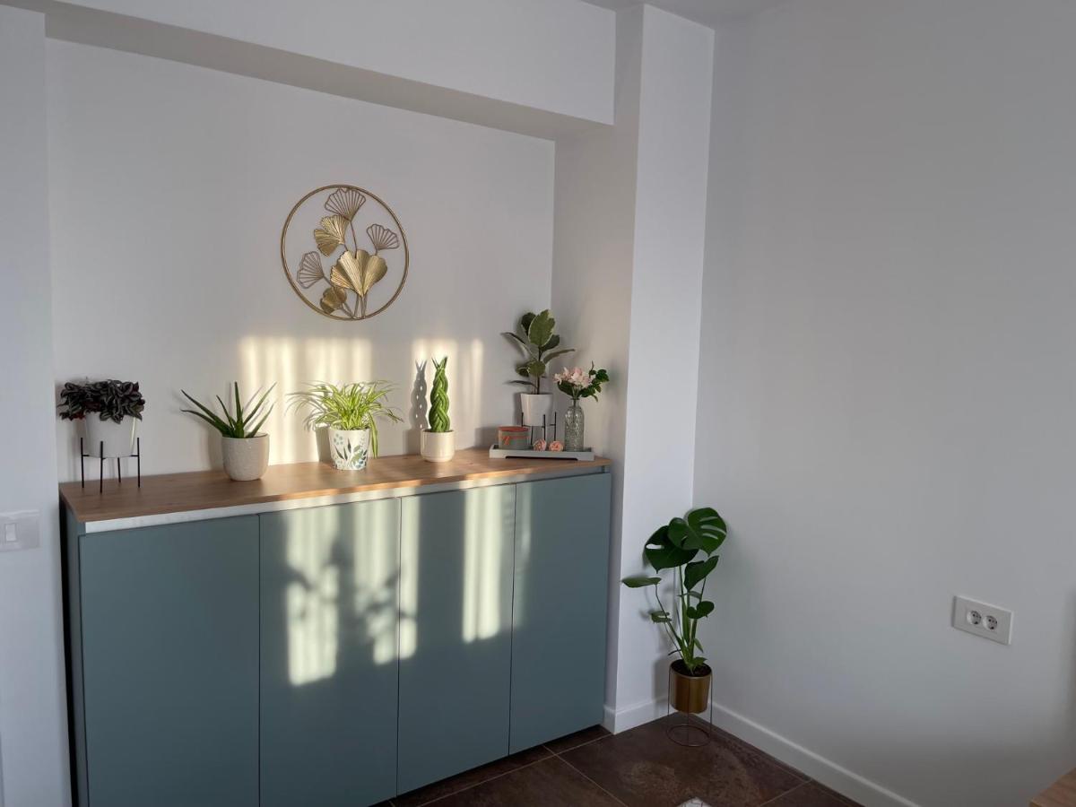 Talida'S Apartment Colorful And Brightnes Oradea Exterior foto